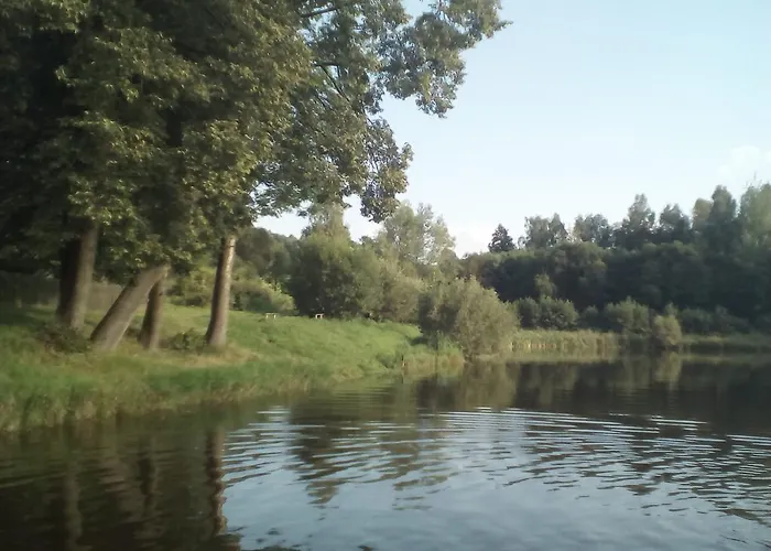 141 * Chřibská