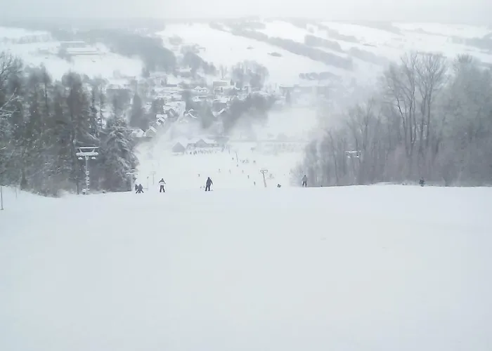 141 * Chřibská